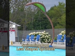 تجهیزات پارک آبی OEM، اسپری کاکتوس آب اسپلش پد اسباب بازی های استخر